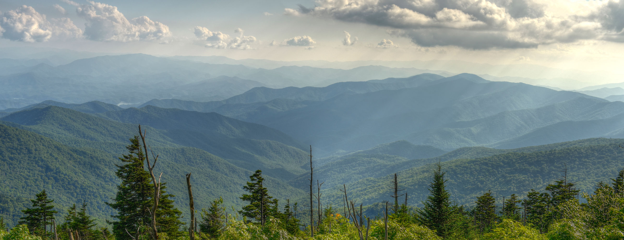 MDLINE SHOP MDLINE SHOP